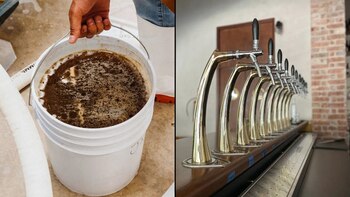 Con miel fermentada y agua,