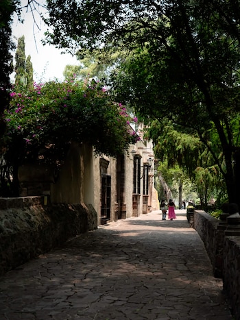 Emergen obras de Frida Kahlo en el restaurado Museo Dolores Olmedo de México