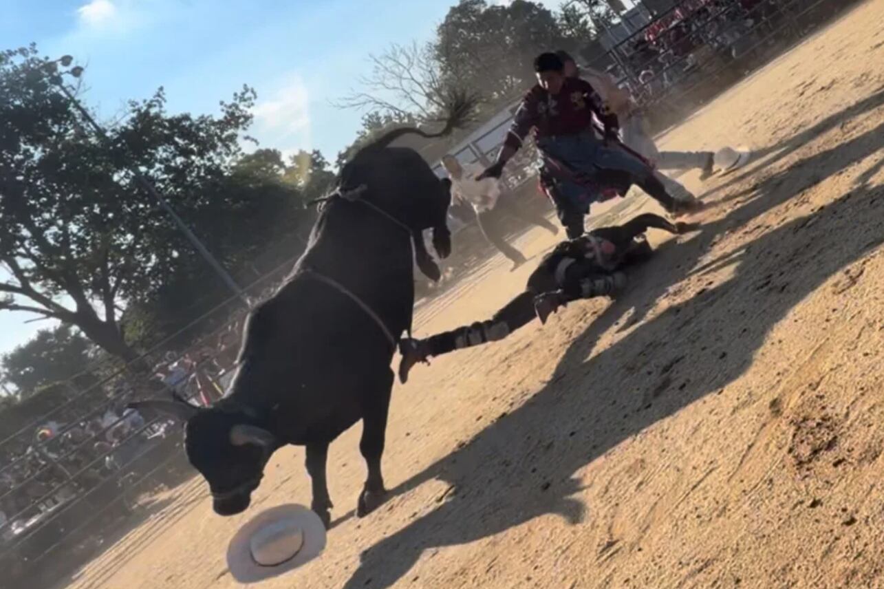 El impacto del toro generó pánico y llamados desesperados de los asistentes ante la falta de auxilio profesional inmediato (Osvaldo Sanchez)