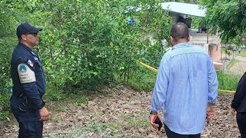 Investigan hallazgo de cuatro cachorras que fueron colgadas a un árbol en una comunidad del interior de Panamá