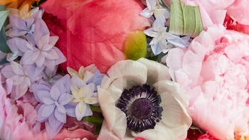 ¿Por qué las flores tienen