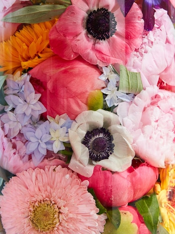 ARCHIVO - "Variedad de