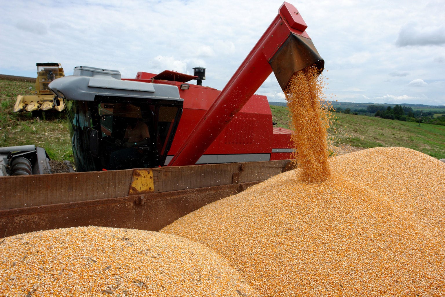 Se estima que Argentina podría alcanzar una producción de cereales de 157,9 millones de toneladas esta temporada. (Embrapa)
