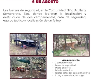 Resultados del despliegue que derivó en el hallazgo de un tigre. Crédito: Gobierno de Zacatecas
