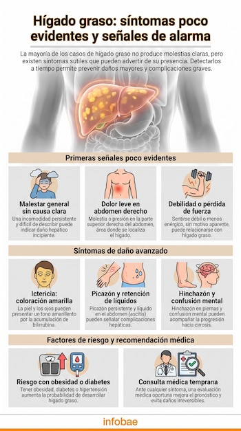 Infografía con ilustraciones que enumeran síntomas del hígado graso como malestar general, ictericia, picazón y factores de riesgo.