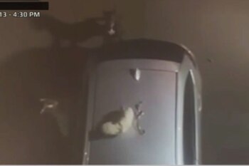 El hecho ocurrió en la