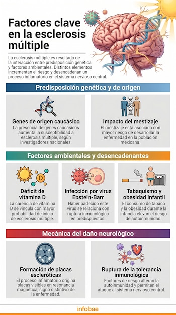 Infografía que muestra un cerebro con ADN y un virus, detallando los factores genéticos y ambientales que influyen en la esclerosis múltiple.