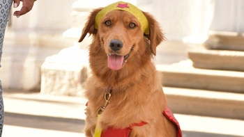 Golda, la heroína de cuatro