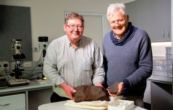 David Hole buscaba oro cuando halló una roca imposible de abrir que terminó siendo un meteorito formado en el inicio del Sistema Solar