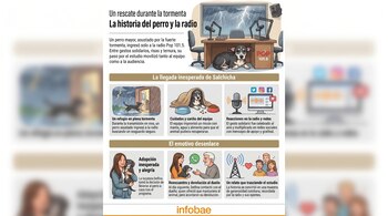 Una ilustración detallada que representa una historia de rescate de un perro en una radio, con viñetas de su llegada, cuidado, adopción y reencuentro con el dueño.
