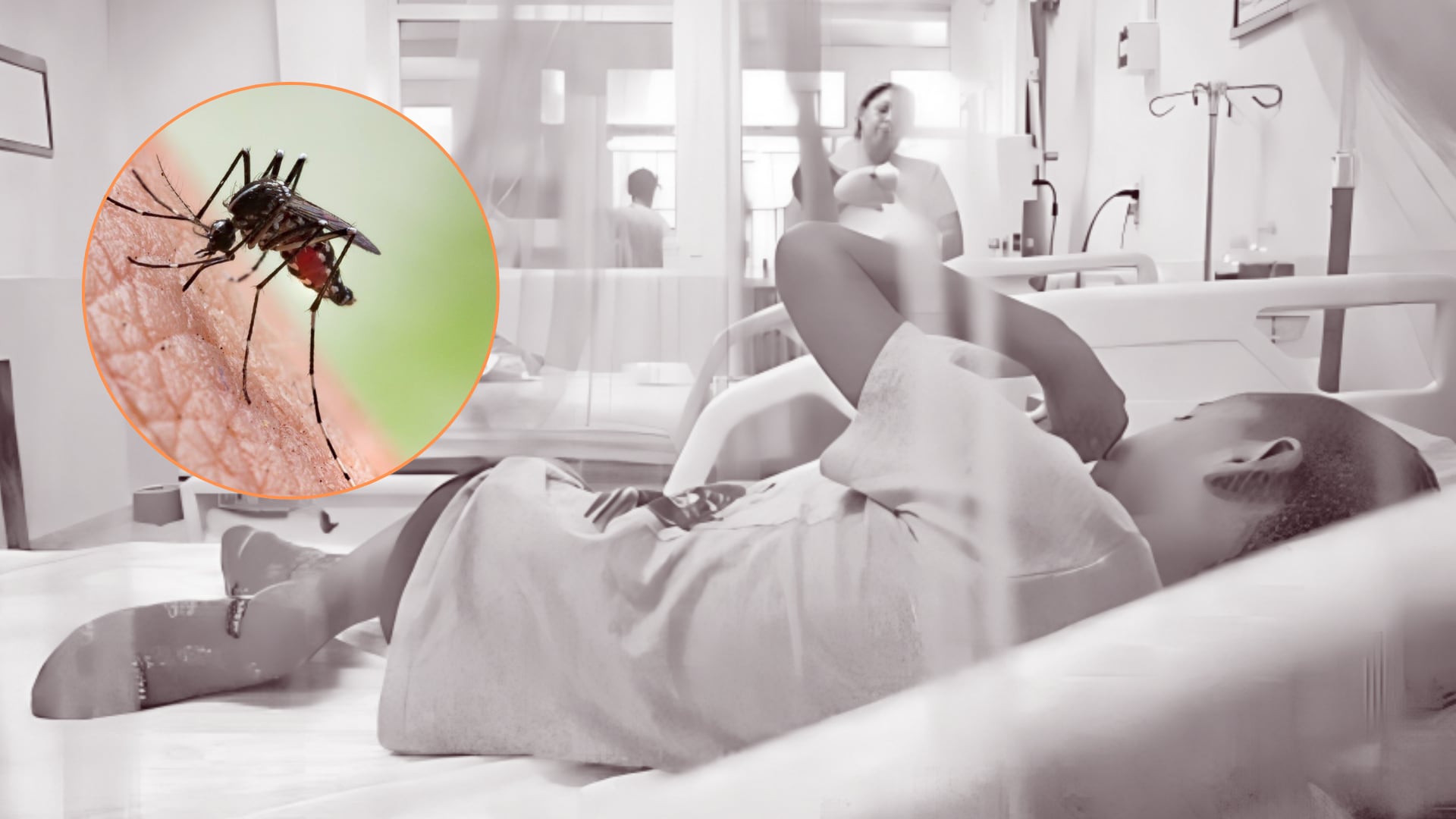 El Ministerio de Salud reporta 1.479 casos sospechosos de dengue en todo el país, con un predominio en el grupo etario de cero a nueve años. Foto: Composición Infobae