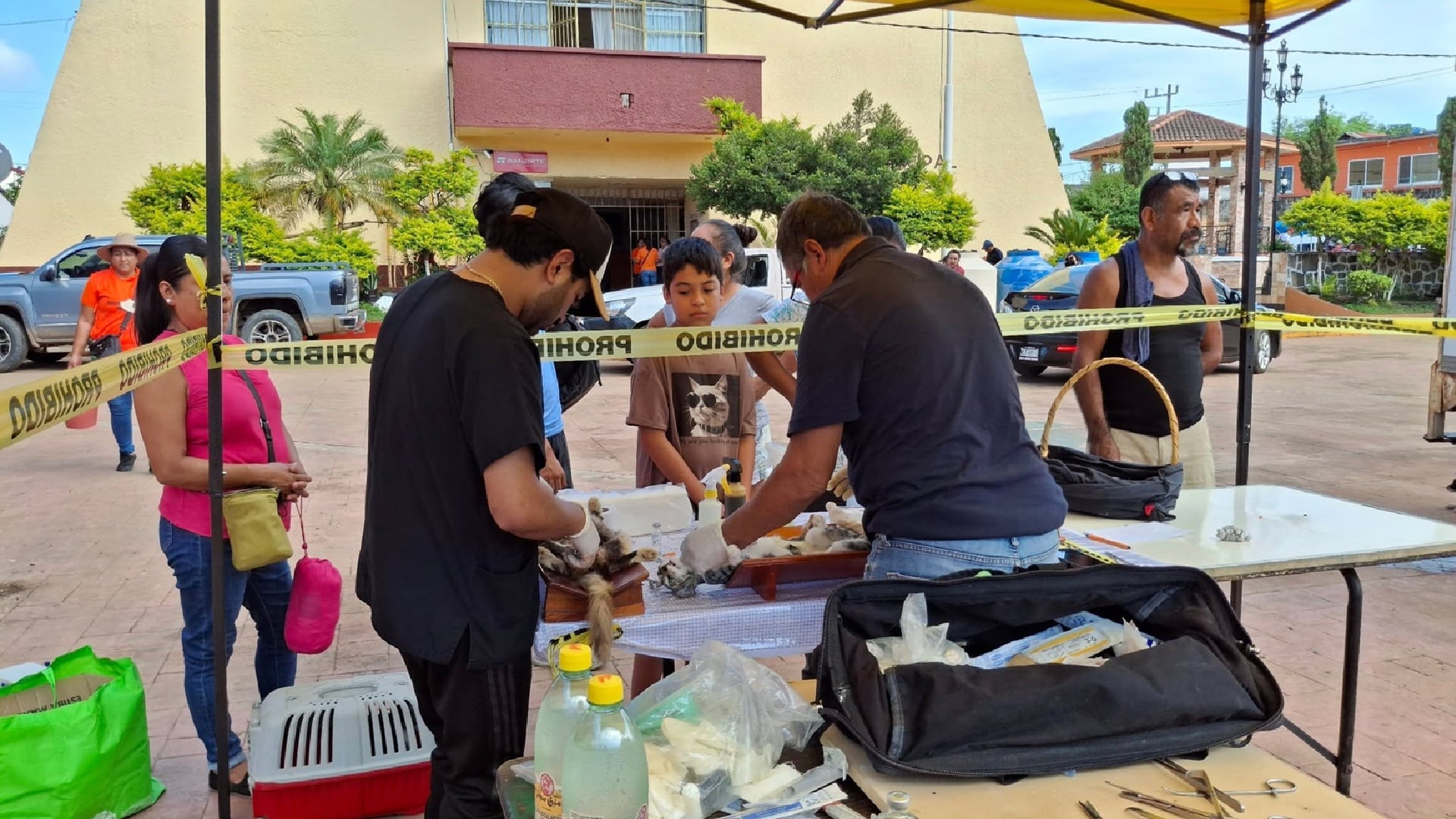 Huautla frena esterilizaciones de perros y gatos tras denuncias por fallas de higiene