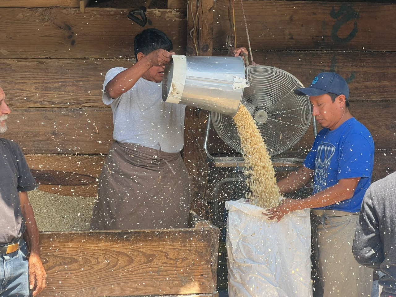 En el mercado La Terminal, distribuidor de la mayoría de los pequeños productores, el maíz tuvo un incremento de precio. (T13 Noticias)