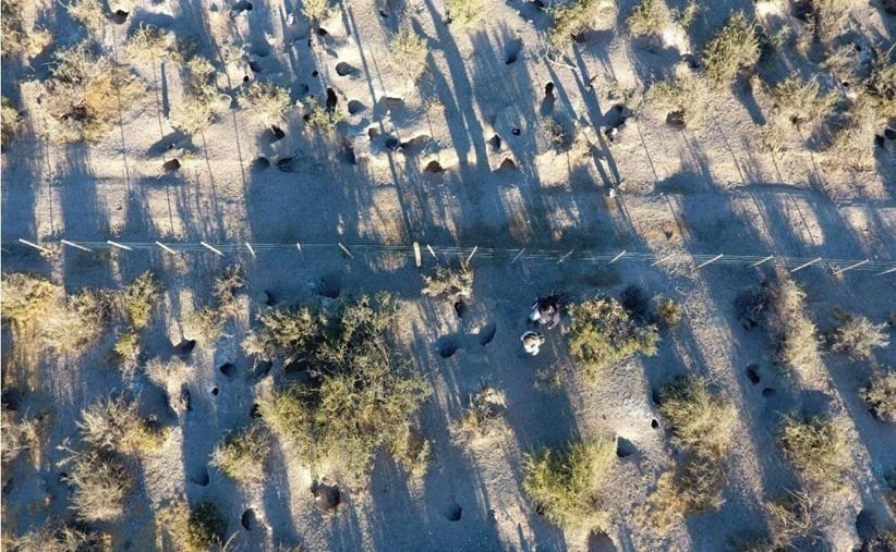 La imagen del cerco eléctrico que colocó en la zona donde estaban los nidos de pingüinos