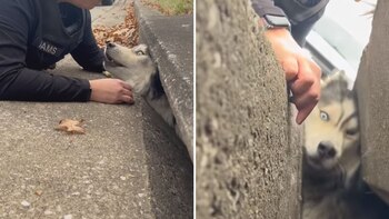 Una persona se acostó a