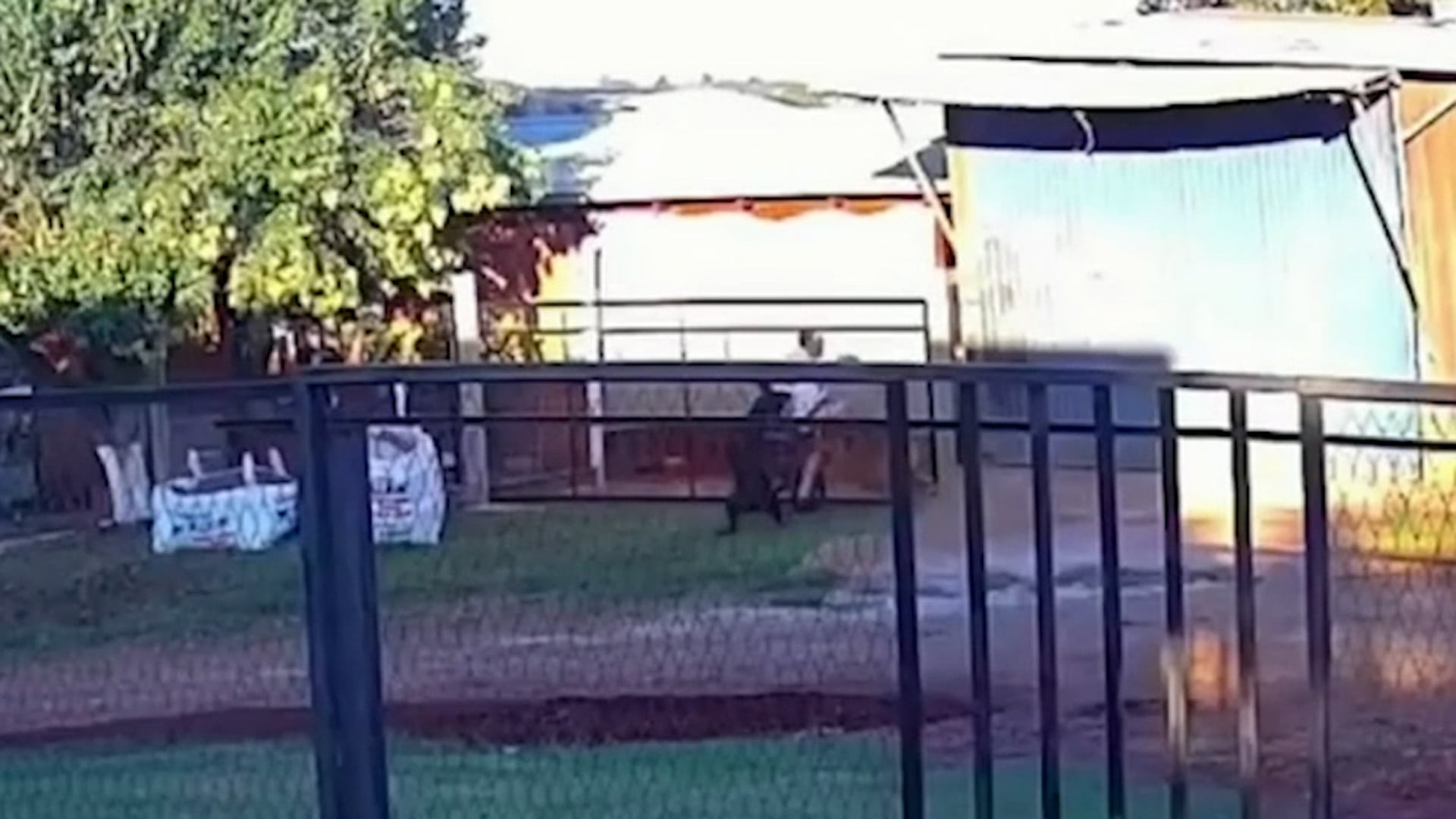 La dueña del perro no brindó asistencia tras el ataque y, según el relato de la madre, hubo abandono de persona ante la gravedad de lo ocurrido