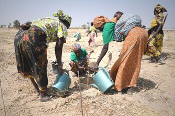 Refugiados nigerianos en Camerún. La