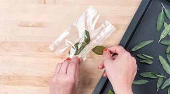 Dos manos con esmalte rojo introducen hojas de salvia en una bolsa plástica transparente; otras hojas reposan en una bandeja negra sobre una mesa de madera.