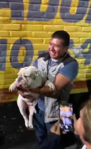 El perrito estaba muy cerca