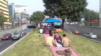 Anteriormente ya se había propuesto