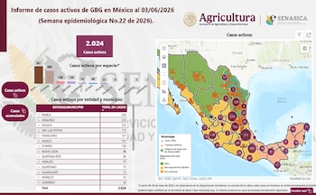 Gusano barrenador total acumulado 3 de junio México
