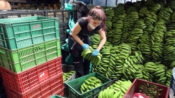 Estos son los sectores que podrían enfrentar la mayor pérdida de empleos por la reforma laboral en Colombia en los próximos años, según Bancolombia