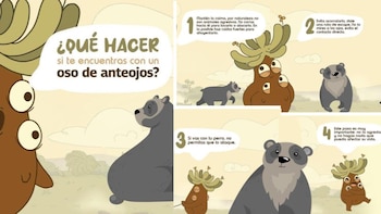 El Frailejón más querido de