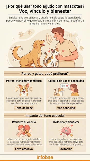 Infografía ilustra a una persona hablando con un perro y un gato, y cuadros informativos sobre cómo el tono agudo refuerza el vínculo y bienestar.
