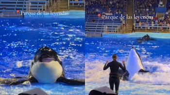 Parque de las Leyendas responde