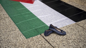 Un estudio revela cómo la