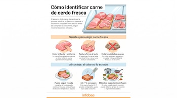 Infografía sobre carne de cerdo fresca y cocida, con imágenes de cortes de carne cruda, manos tocando carne, un termómetro de cocina y utensilios.