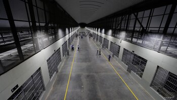 Condenados a más de 300