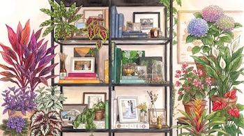 Una ilustración de acuarela muestra una estantería con libros, marcos de fotos y diversas plantas de interior en macetas y recipientes.