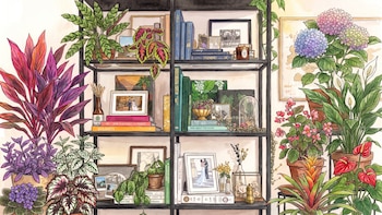 12 plantas de interior que aportan personalidad y pueden transformar ambientes