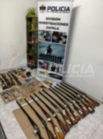 Entre los trofeos de fauna decomisados había astas de ciervo colorado, cabezas de jabalí europeo y cuero de zorro colorado, piezas que no contaban con la documentación habilitante exigida por la normativa vigente