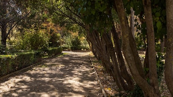 Imagen del Parque de Santa Ana, en Cuenca