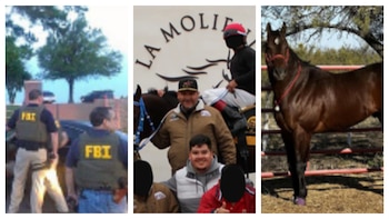A lo Peaky Blinders: sancionaron en EEUU empresas del Cártel del Noreste que lavaban dinero con carreras de caballos