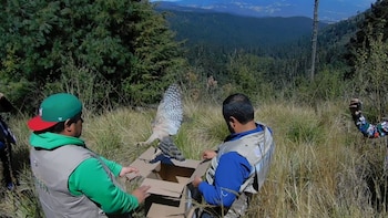 Durante junio del 2023 las