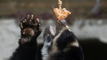 Campesinos del sur de Bogotá