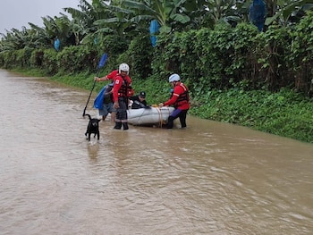 Las lluvias provocaron inundaciones y afectaciones en Matina, Sarapiquí y Tortuguero, en las provincias de Limón y Heredia./ (Cruz Roja Costarricense)