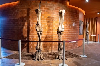 El nuevo recinto se estrena