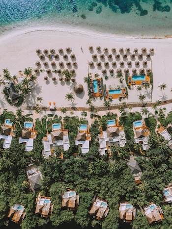 La selección dirigida por Roberto