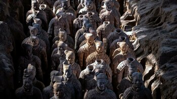 50 años del descubrimiento de