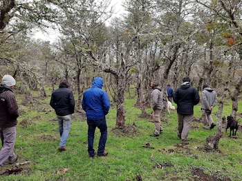 Las soluciones que integren la