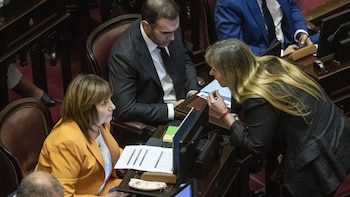 Senado: la oposición pidió explicaciones