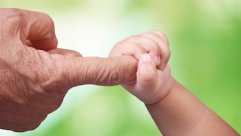 Los especialistas estimaron que la