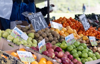 Imagen XBJ5JR3KW5FHZMBH25UDVTX67U