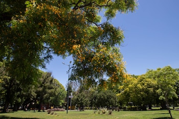 Cerca de 15 mil ejemplares