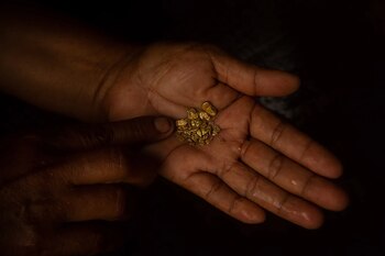 La serpiente de DiCaprio ya