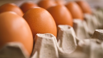 Consejos de experto para conservar los huevos sin riesgo cuando hace calor: “Siempre deben guardarse en el interior de la nevera y en su propia caja”
